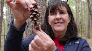 Trailside Treasures 16