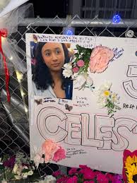 Where Is Celeste Rivas Hernandez Memorial in Lake Car | TikTok