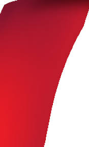 2011 National HIV Prevention Conference