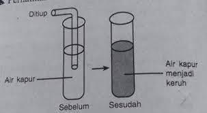 Jika gas co2 ditiupkan akan terjadi reaksi. Berdasarkan Hasil Percobaan Tersebut Perubahpada Air Kapur Terjadi Karena A Terbentuknya Brainly Co Id
