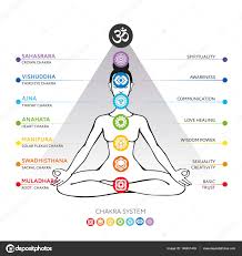 Chakras System Of Human Body Used In Hinduism Buddhism And Ayurveda For Design Associated With Yoga Poster Banner Vector Sahasrara Ajna Vishuddha Anahata Manipura Swadhisthana Muladhara Stock Vector C Olania 146451403