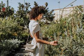 Experiences of growing cacti from seed plus experiences importing cacti from england to the us. The 10 Best Garden Centers And Nurseries In California