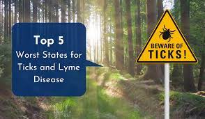 Top Five Worst States For Ticks And Lyme Disease Proven Tick Repellent