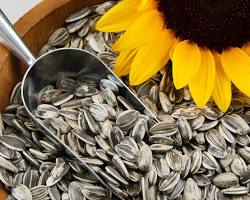 Image of Sunflower Seeds
