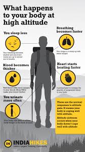 The more red blood cells you have, the more hemoglobin is available to move oxygen through your body. What Happens To Your Body At High Altitudes Indiahikes