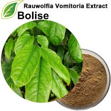 Image result for Rauvolfia vomitoria