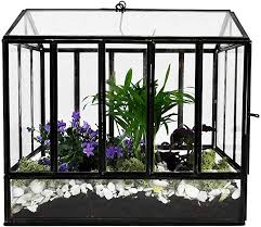 Urban Born Handmade Glass Terrarium Mini Hanging Greenhouse 10 5 X6 25 X10 25 Amazon Com Au Lawn Garden In 2020 Terrarium Glass Terrarium Large Greenhouse