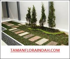 5.siram tanah dengan air secukupnya, selanjutnya buat lubang tanam dengan ukuran yang sesuai dengan bibit rumput gajah mini. Jual Rumput Gajah Mini Tukang Taman Taman Minimalis