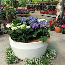 Floristería Ramón Mundo Jardín