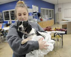 Detailed directions to our new center are on the upcoming events page. 52 Dogs Seized From Ashland Home Getting Better Every Day