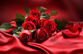 Red Roses On The Red Silk Love Moment Flowers Wallpapers Nature Wallpapers Download Beautiful Hd W Beautiful Flowers Wallpapers Red Rose Bouquet Red Roses