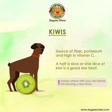 Check spelling or type a new query. 7 Best Fruits For Dogs Ideas Fruits For Dogs Dogs Shitzu Puppies