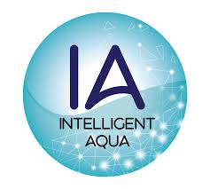 Asma's role in malaysia's cleaner water initiatives. Air Quality Management By Asma Pitech Brunei