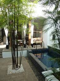 Private courtyard & plunge pool. Private Courtyard Plunge Pool Picture Of The Siam Bangkok Tripadvisor