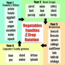 35 Best Crop Rotation Images In 2019 Crop Rotation