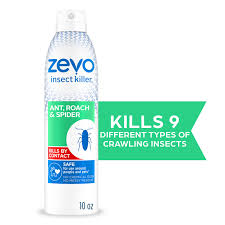 Raid Insecticide | Walgreens