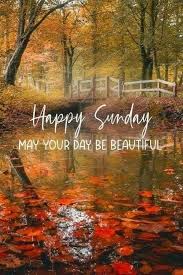 The head coach visits africa to discover a new star and finds sunday but is about to find out that he has never played football in his life. 140 Happy Sunday Ideas In 2021 Happy Sunday Sunday Sunday Quotes