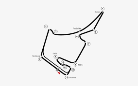The 6.003 km circuit played host to the 2016 european grand prix, four years after the event was last held in valencia. Circuit Hokenheimring Hockenheimring Corner Names Png Image Transparent Png Free Download On Seekpng