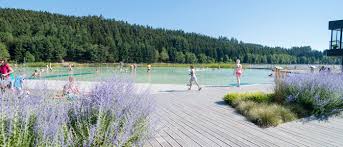 Campings Lac Des Sapins 4 Campings Toocamp