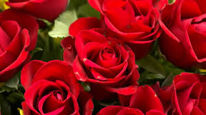 Hd 720p Jim Reeves Sings Roses I Send You Roses Rose Starting A Vegetable Garden Flowers