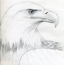 We did not find results for: Draw A Bald Eagle