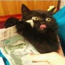 Greed Cats Catsofinstagram Cursedcats Sadcat Gato Funnycats Lolcats Catmemes Memes Kit Sevimli Kediler Cok Sirin Hayvanlar Kedileri Seviyorum