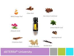 Dōterra University Essential Oil Blends Essential Oil Combos Essential Oils