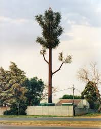 Check spelling or type a new query. The Most Unusual Cell Towers Non Standard Solutions For Standard Tasks Prog World