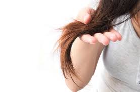 Your hair has no natural lubrication. 9 Ways To Fix Dry Damaged Hair National Globalnews Ca