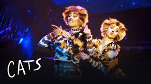 Talented vets like betty buckley, terrence mann, and ken page do a great job with material that is this cd of the original broadway cast of cats seemed to be cheap, and now i know why: Mungojerrie And Rumpelteazer Cats The Musical Youtube