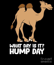 Images tagged hump day camel. What Day Is It Hump Day Funny Camels Hump Day Digital Art By Eq Designs