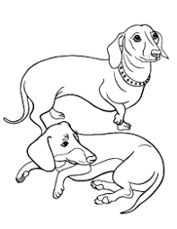 Printable coloring pages of dachsunds. Dachshund Coloring Page Dog Coloring Page Puppy Coloring Pages Dachshund Colors
