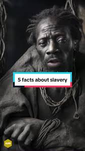 Uncovering the Horrifying Truths of the Transatlantic Slave Trade