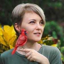 Robin Bird Holly Leaves Red Berries Stock Illustration 2074409578