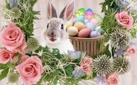 Hintergrundbilder kostenlos | einfaches herunterladen ohne anmeldung. 720 Ostern Hd Wallpapers Hintergrunde