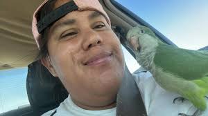 Lost parrot in Puerto Penasco near Malecon area