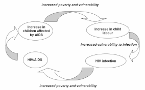 The paper begins with a discussion of the social Https Www Zef De Fileadmin Downloads Forum Docprog Termpapers 2004 3a Philip Rayan Pdf