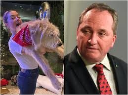 Meet Barnaby Joyce: Amber Heard names new dog after Australian deputy PM  following clash in 2015