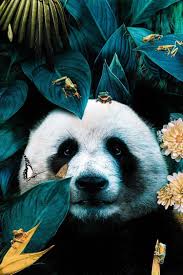 Schattige dieren achtergronden google zoeken schattige dieren. Pin Van Indra Op Achtergronden Panda Kunst Dieren Mooi Huisdier Kunst