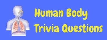 Learn about respiration and the function of the lungs, oxygen and co₂ in the body from medical experts. 21 Fun Free Human Body Trivia Questions Answers Laffgaff