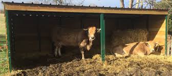 ✅ large choix de carports alu ou en bois autoportés et porteurs en bois chevaux à bascule en bois jeux à tirer en bois autres jeux en bois. Societe Buchet Constructeur 71740 Tancon Constructeur D Epandeurs Agricoles Et D Abris Pour Chevaux Bovins En Saone Et Loire