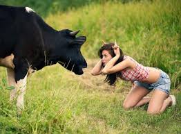 Davidezh it's a beautiful night. Marry Me Darling For I Have Cows Picking Up Girls In A Disappearing Tongue Minimalist Travel
