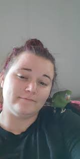 Toddler's behavior and relationship issues