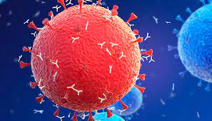 Should You Get a COVID-19 Serology Test? - UnityPoint Health