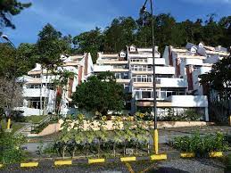 Tucked away deep in a beautiful forest of pine trees. The Apartments Picture Of The Pines Resort Bukit Fraser Tripadvisor