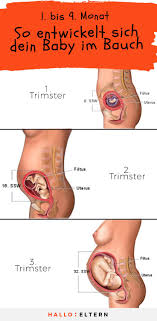 Tipps & übungen für effektives bauchtraining bei müttern. Pin Auf Schwangerschaft Tipps
