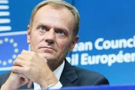 Matthew Mamo, Awtur NETnews