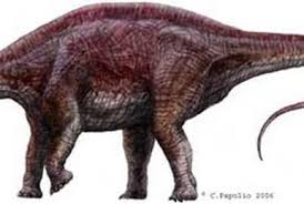 Image result for Vausagesia