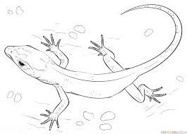 How To Draw A Realistic Lizard Step By Step Drawing Tutorials Drawing Tutorial Snake Drawing Realistic Drawings