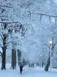Beautiful March Snow At The University Of Wisconsin Madison Wisconsin Winter Scenes University Of Wisconsin Madison